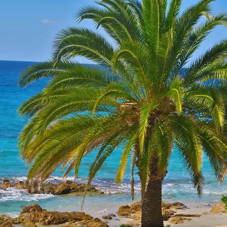 Les Calanques Ajaccio (Corsica)