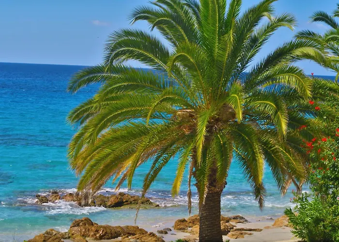 Les Calanques Ajaccio (Corsica)